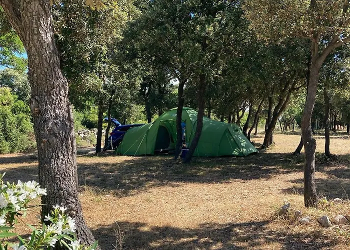 Camping Sugar