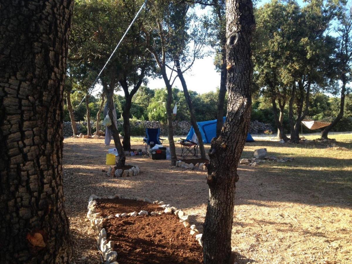 Sugar Campsite