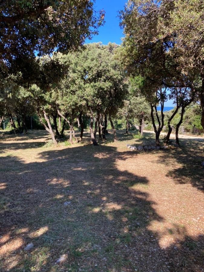 Sugar Campsite Mandre
