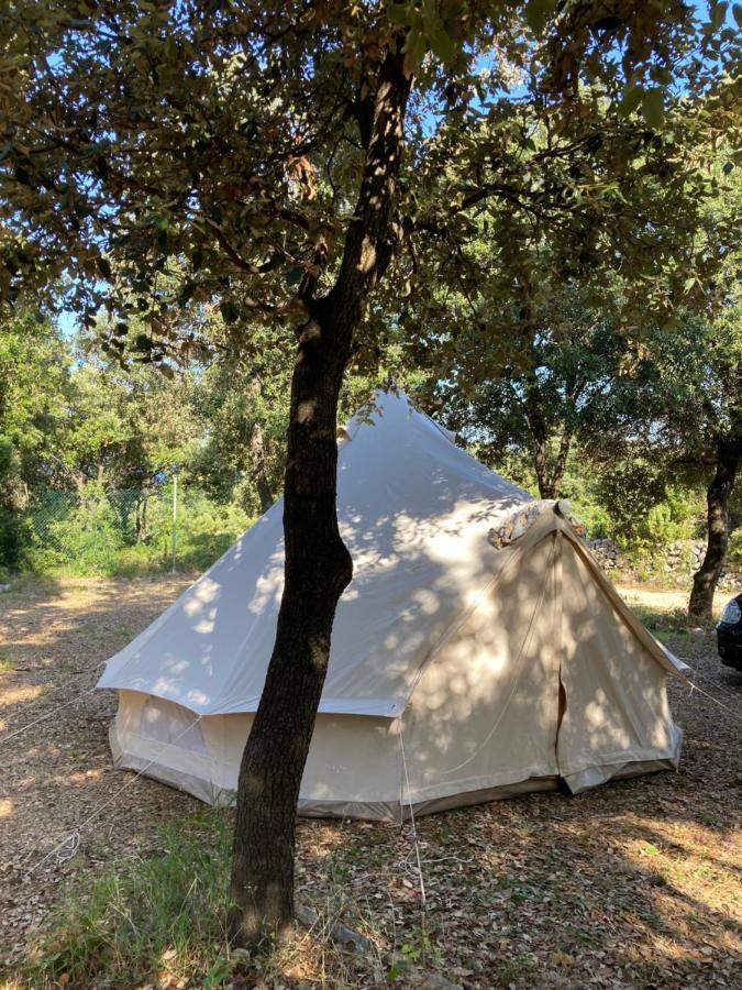 Campsite Sugar Mandre