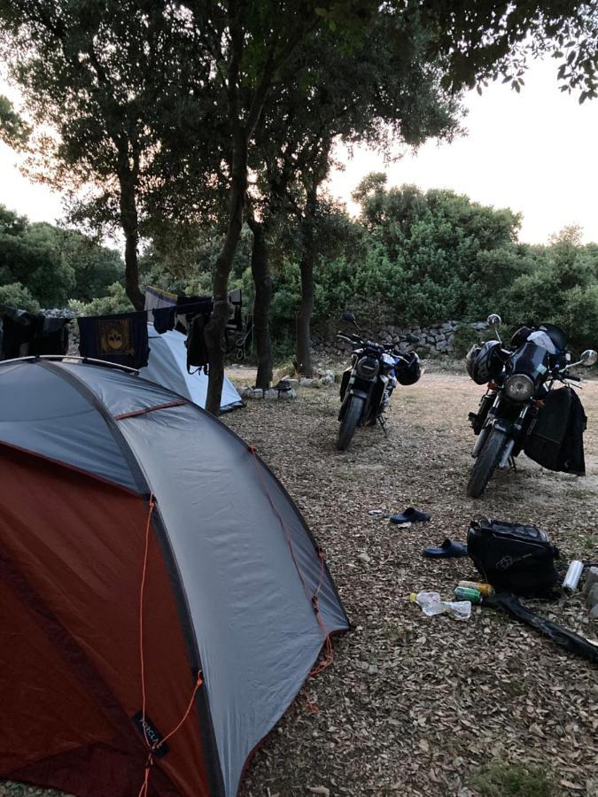 Campsite Sugar Mandre