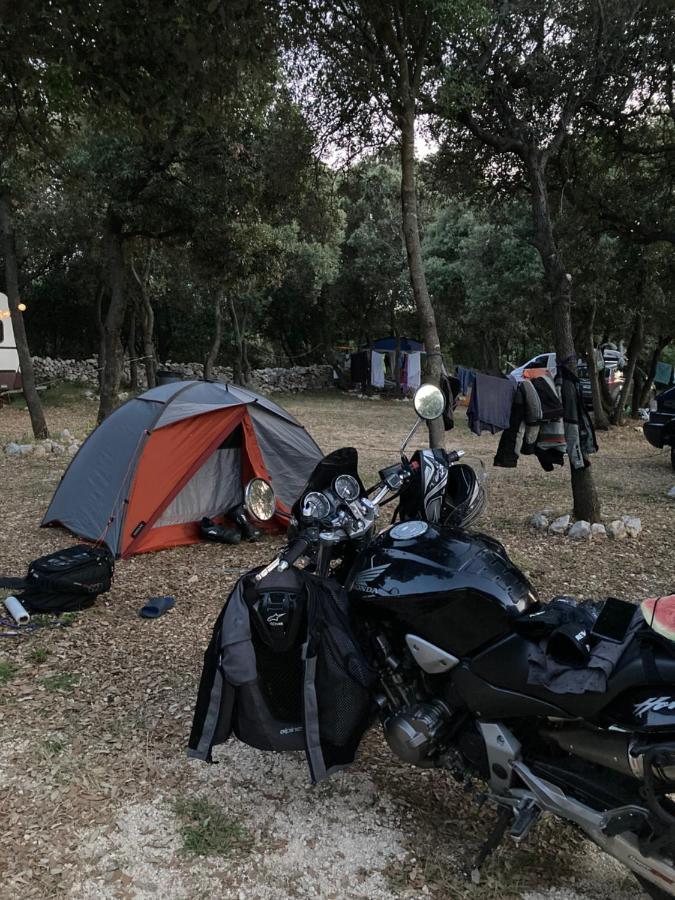 Sugar Camping
