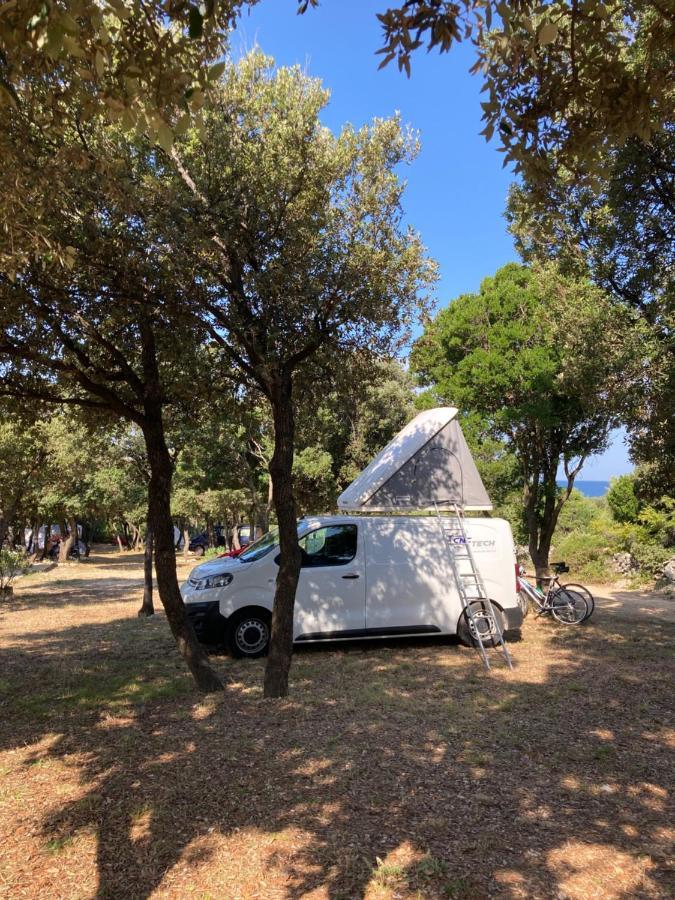 Sugar Camping Mandre