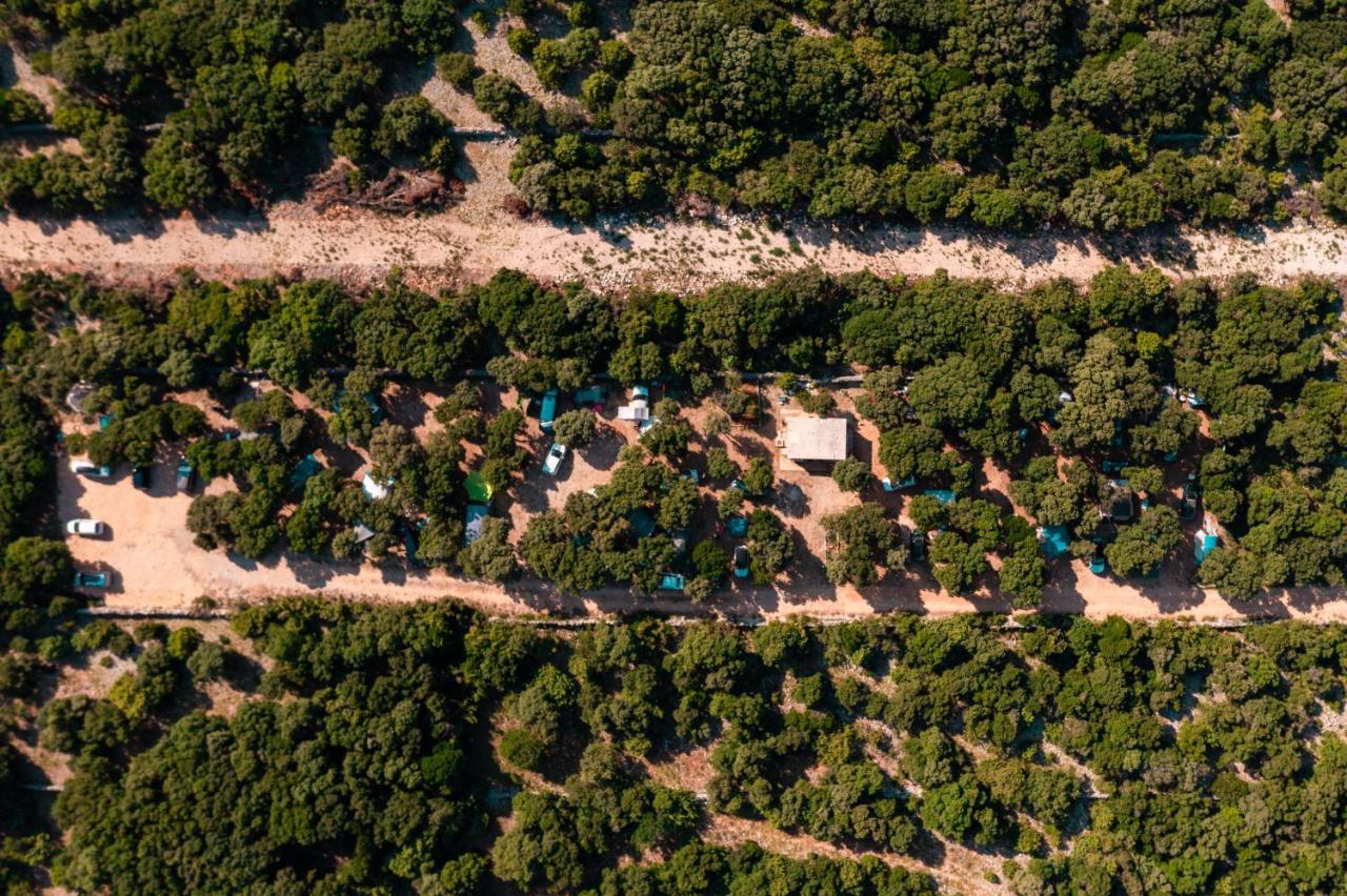 Campsite Sugar Mandre