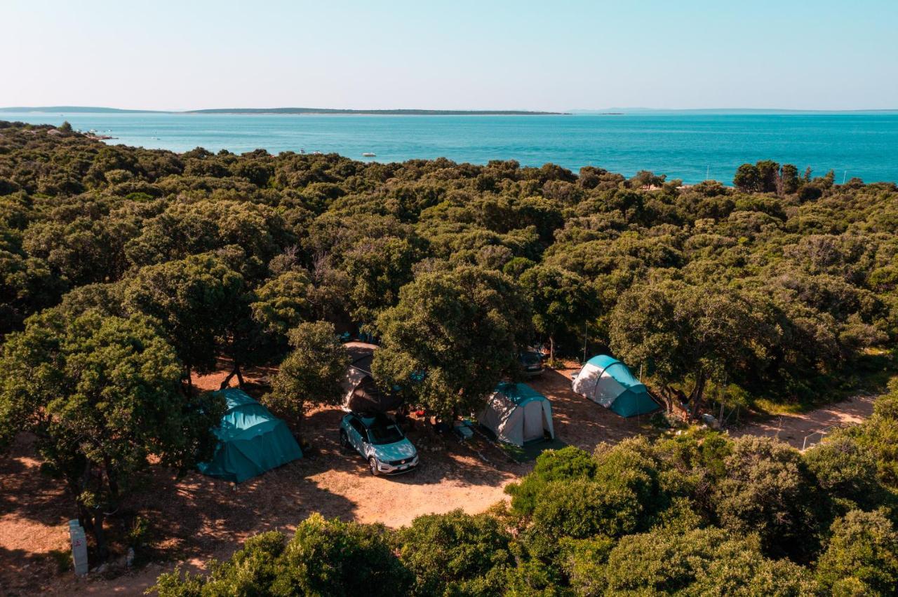 Campsite Sugar Mandre
