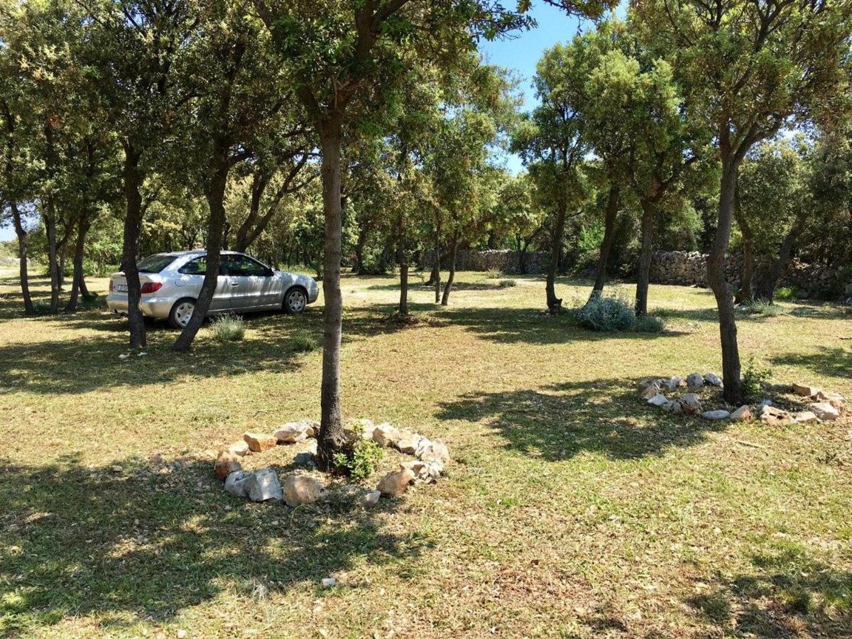 Sugar Campsite *