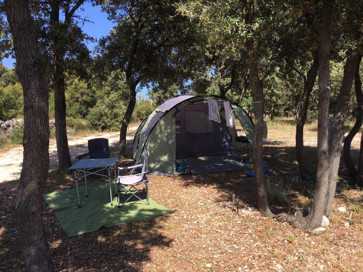 Campsite Sugar *