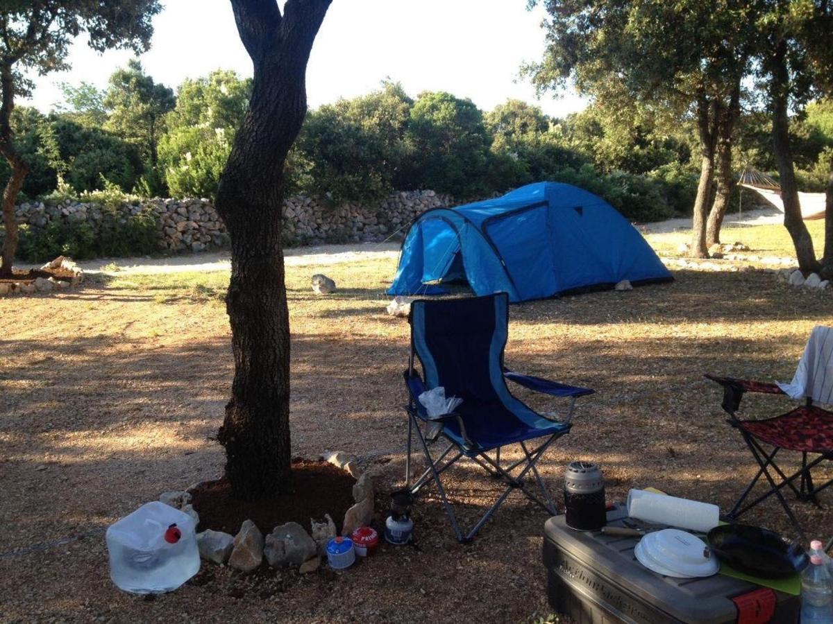 Sugar Camping Mandre